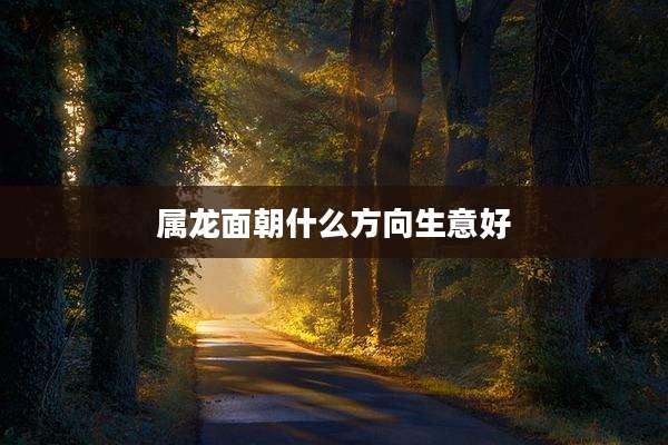 属龙面朝什么方向生意好