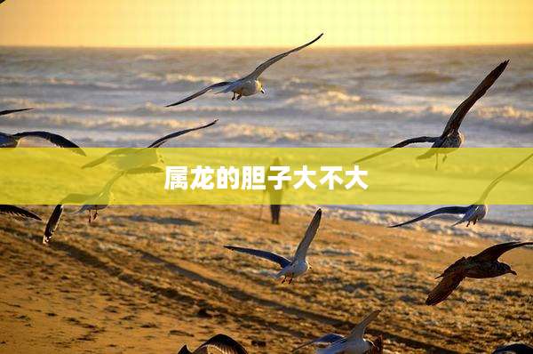 属龙的胆子大不大