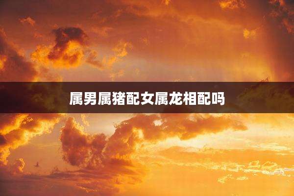 属男属猪配女属龙相配吗