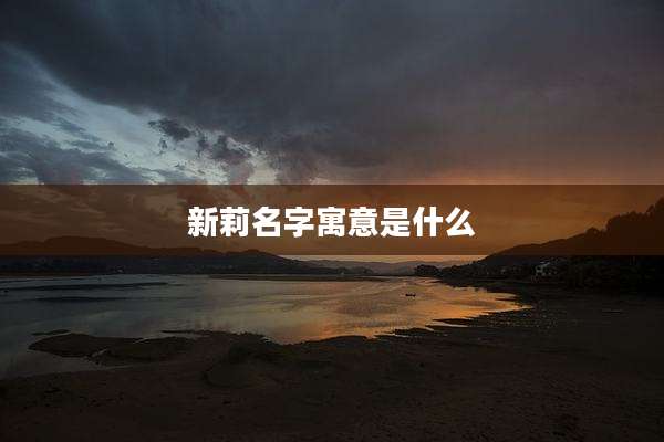 新莉名字寓意是什么