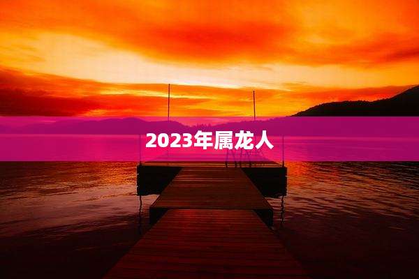 2023年属龙人
