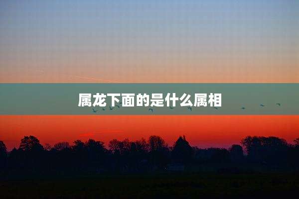 属龙下面的是什么属相