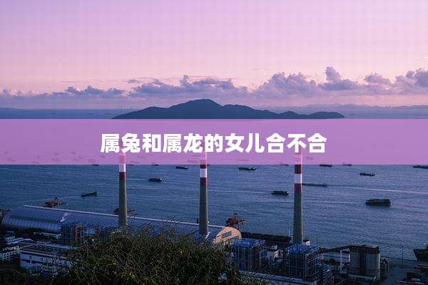 属兔和属龙的女儿合不合