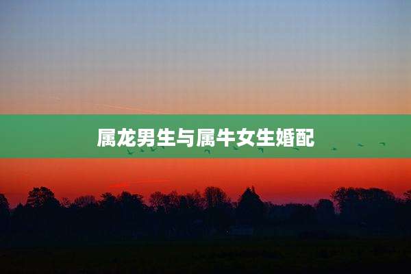 属龙男生与属牛女生婚配