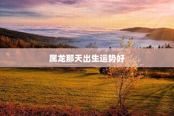 属龙那天出生运势好