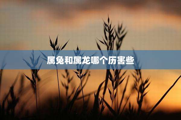 属兔和属龙哪个历害些