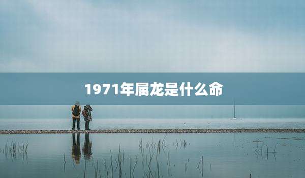 1971年属龙是什么命