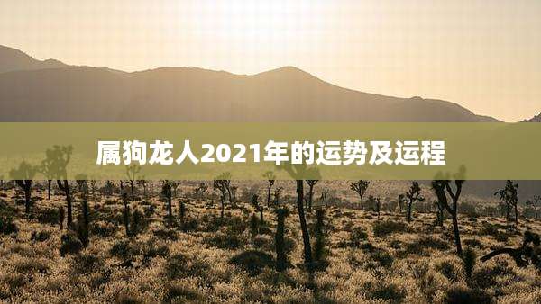 属狗龙人2021年的运势及运程