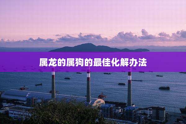 属龙的属狗的最佳化解办法
