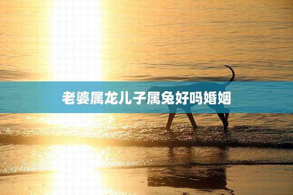 老婆属龙儿子属兔好吗婚姻