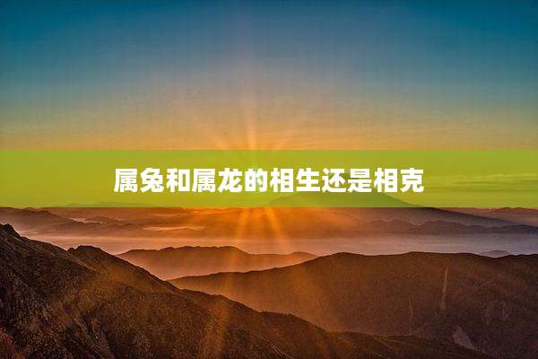 属兔和属龙的相生还是相克