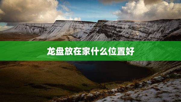 龙盘放在家什么位置好