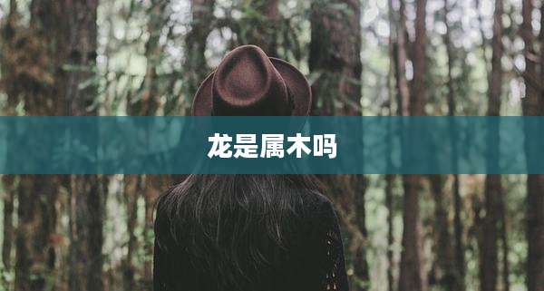 龙是属木吗