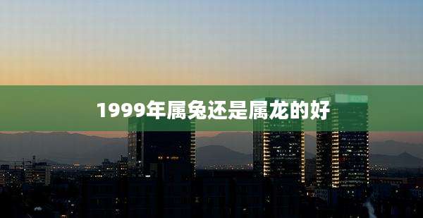 1999年属兔还是属龙的好