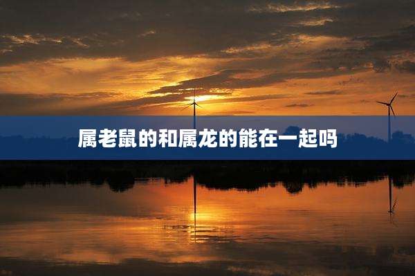 属老鼠的和属龙的能在一起吗
