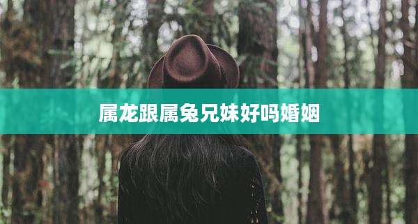 属龙跟属兔兄妹好吗婚姻