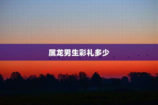 属龙男生彩礼多少
