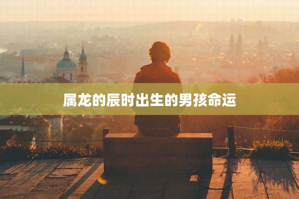 属龙的辰时出生的男孩命运
