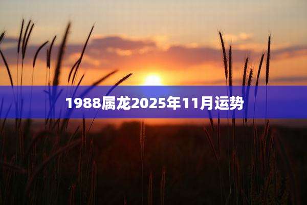 1988属龙2025年11月运势