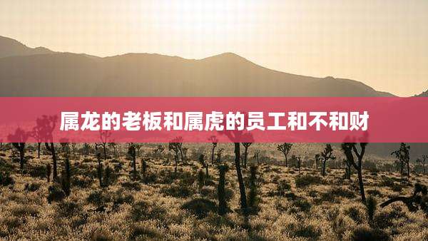 属龙的老板和属虎的员工和不和财