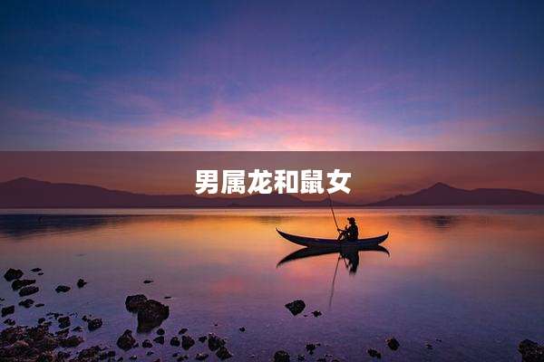 男属龙和鼠女