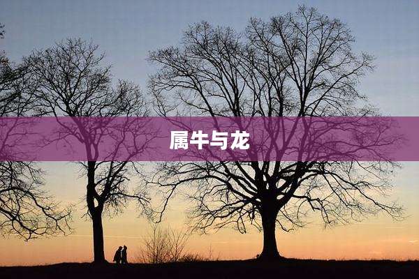 属牛与龙