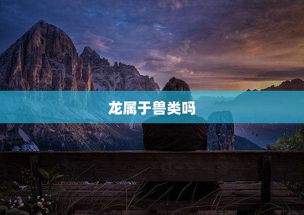 龙属于兽类吗
