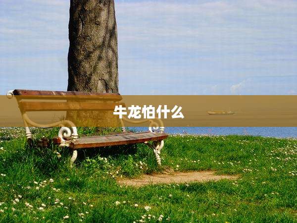 牛龙怕什么