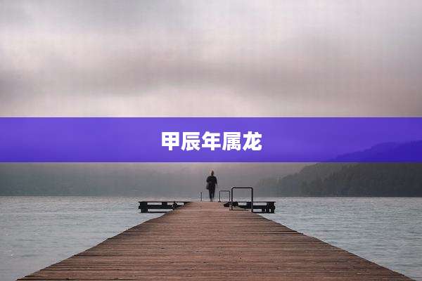 甲辰年属龙