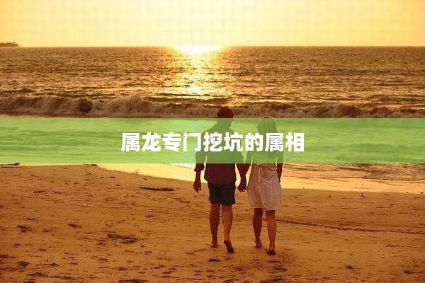 属龙专门挖坑的属相