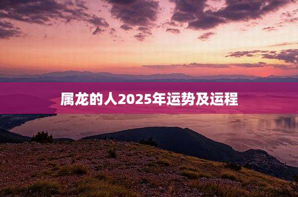 属龙的人2025年运势及运程