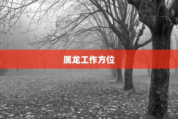 属龙工作方位