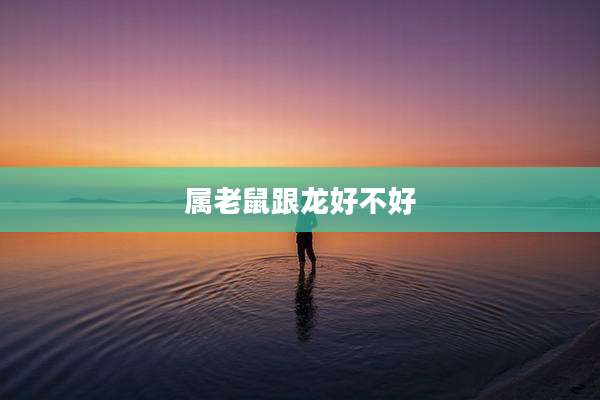 属老鼠跟龙好不好