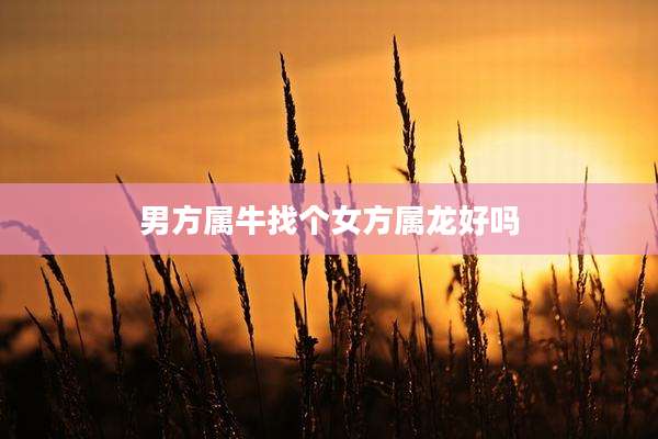 男方属牛找个女方属龙好吗