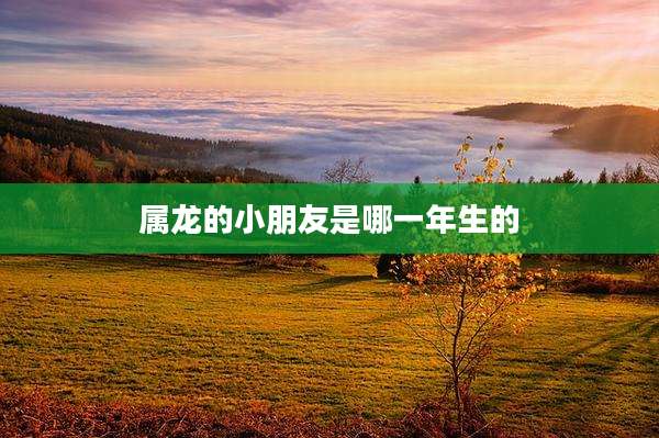 属龙的小朋友是哪一年生的