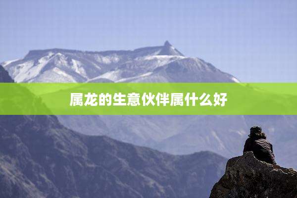 属龙的生意伙伴属什么好