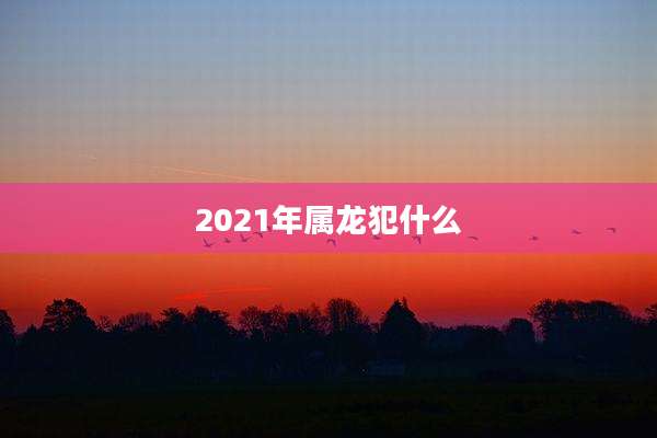 2021年属龙犯什么