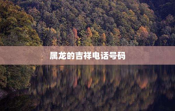 属龙的吉祥电话号码