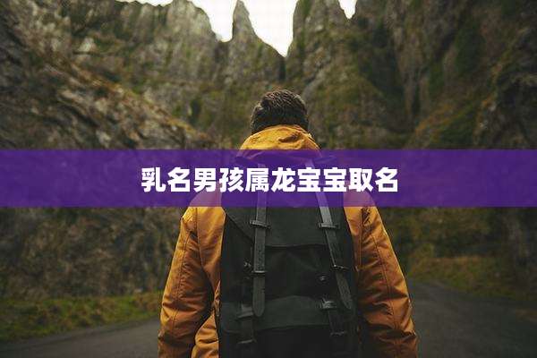 乳名男孩属龙宝宝取名