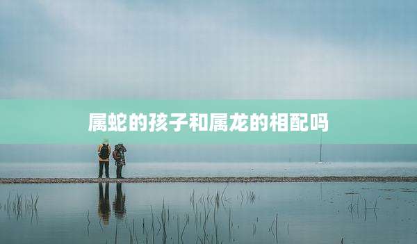 属蛇的孩子和属龙的相配吗