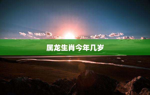 属龙生肖今年几岁