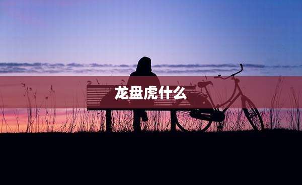 龙盘虎什么