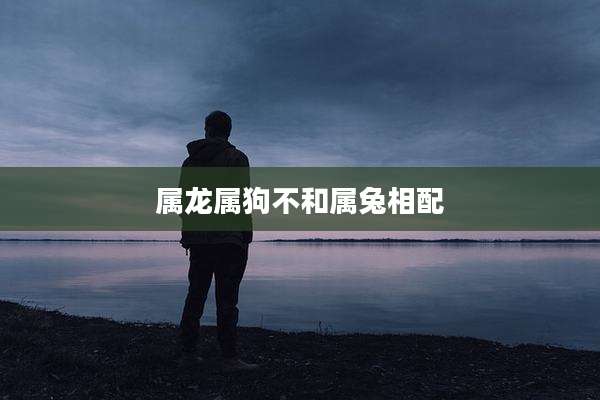 属龙属狗不和属兔相配