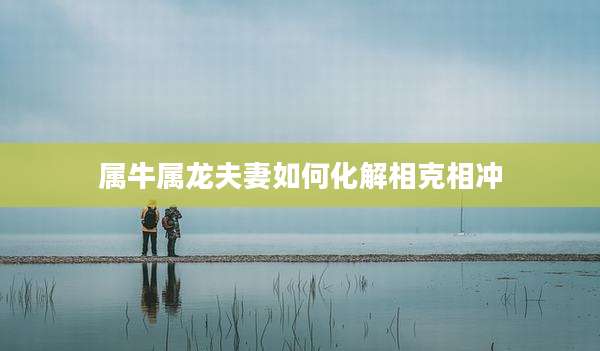 属牛属龙夫妻如何化解相克相冲