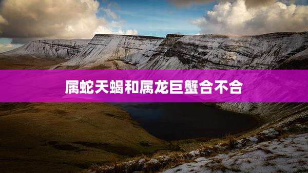 属蛇天蝎和属龙巨蟹合不合