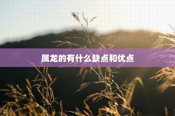 属龙的有什么缺点和优点