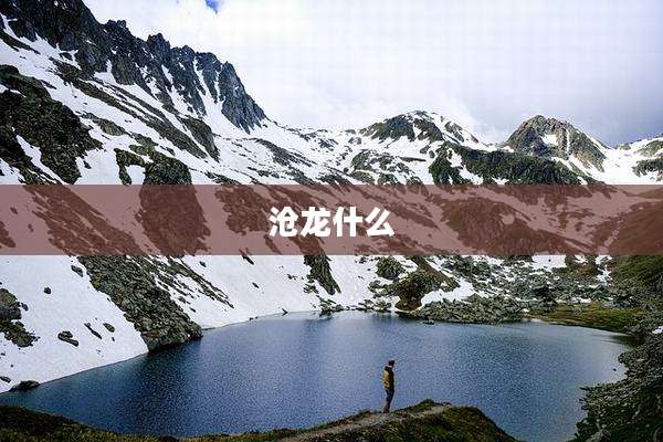 沧龙什么