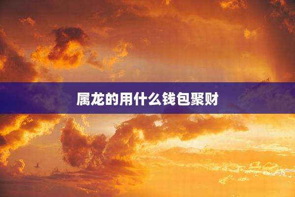 属龙的用什么钱包聚财