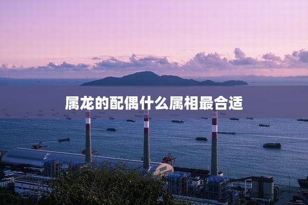 属龙的配偶什么属相最合适