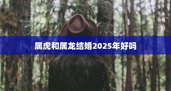 属虎和属龙结婚2025年好吗
